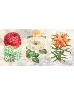 Hortus Botanicus 2.0