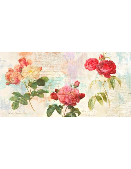 Las Rosas de Redouté 2.0