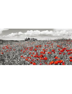 Casa rural con cipreses y amapolas, Toscana, Italia