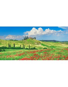 Casa rural con cipreses y amapolas, Val d'Orcia, Toscana