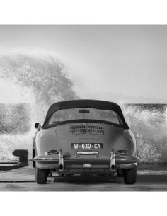 Olas del océano rompiendo sobre bellezas vintage (Detalle 1 en blanco y negro)