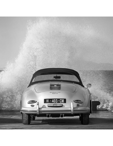 Olas del océano rompiendo sobre bellezas vintage (detalle en blanco y negro 2)