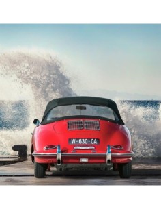 Olas del océano rompiendo sobre bellezas vintage (detalle 1)