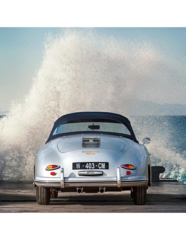 Olas del océano rompiendo sobre bellezas vintage (detalle 2)