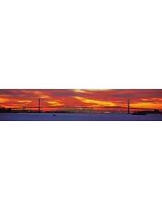 Queensboro and Manhattan Bridge