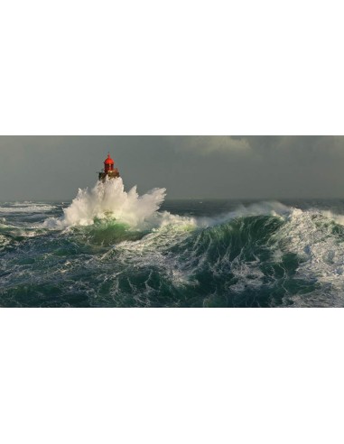 La Jument dans la tempète