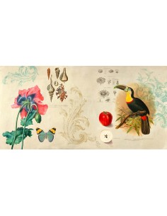 Gabinete de Curiosidades II