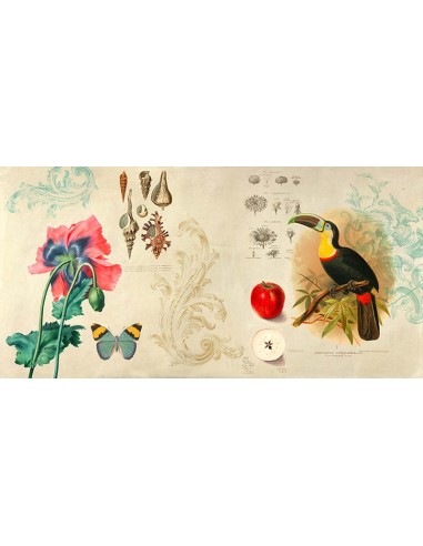 Gabinete de Curiosidades II