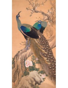 Una pareja de pavos reales en primavera