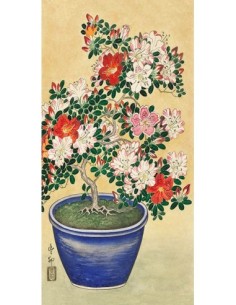 Azalea floreciente en una maceta azul