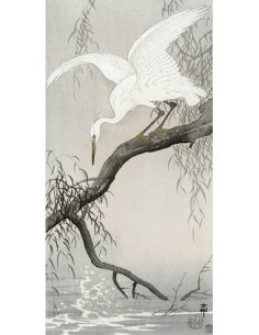 Garza blanca en la rama de un árbol