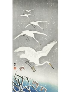 Garcetas descendiendo en la nieve