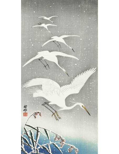 Garcetas descendiendo en la nieve