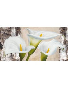 Naturaleza verdadera