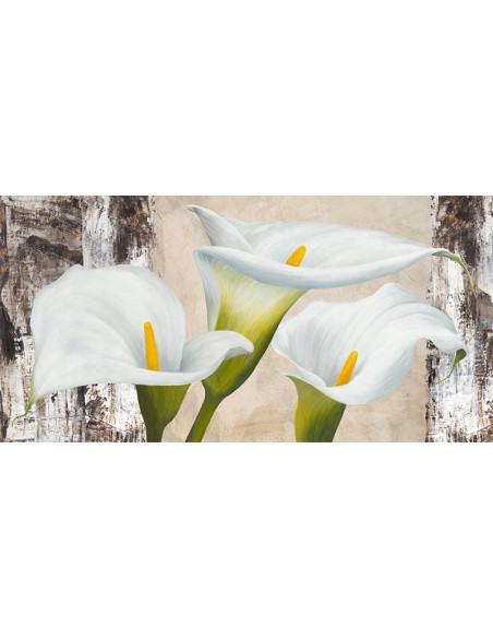 Naturaleza verdadera