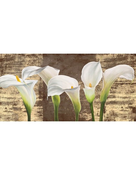 Callas sobre oro (variación mocca)