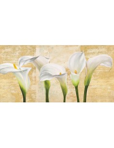 Callas sobre oro (variación neutra)