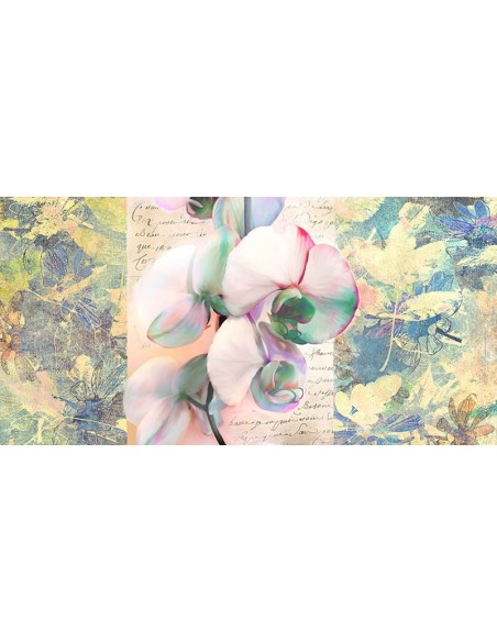 Orquídea caleidoscopio