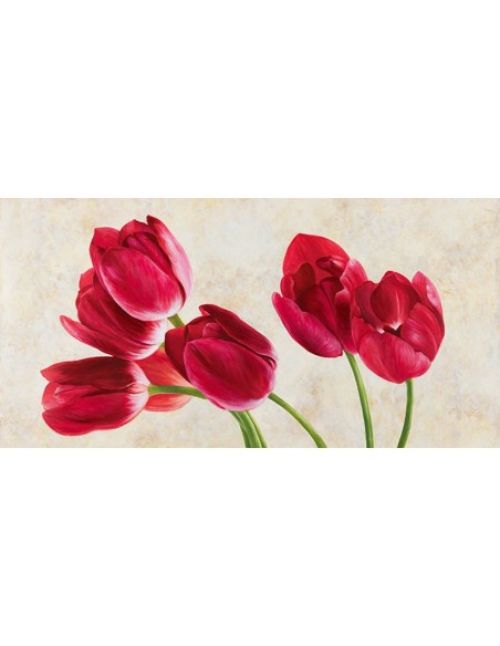 Concierto de tulipanes