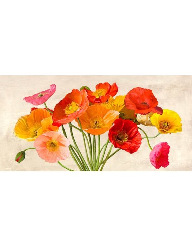 Amapolas en primavera