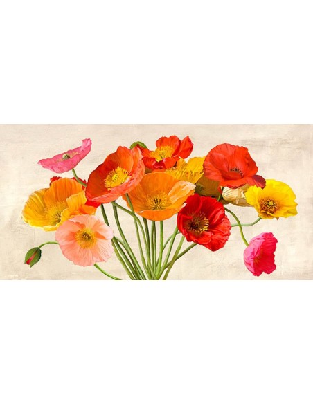 Amapolas en primavera