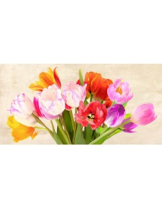 Tulipanes en primavera
