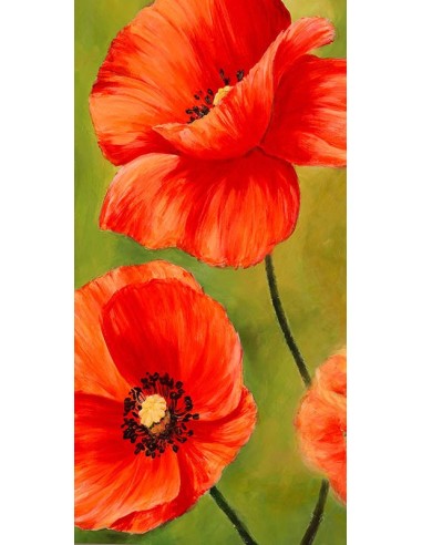 Amapolas en el viento I