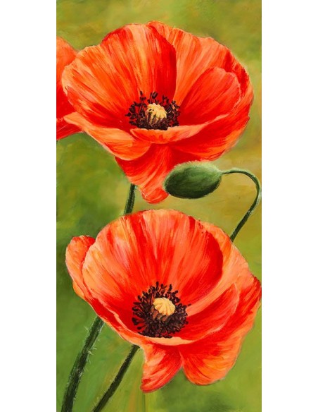 Amapolas en el viento II