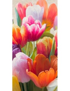 Tulipanes de primavera II