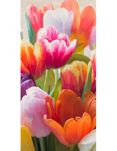 Tulipanes de primavera II