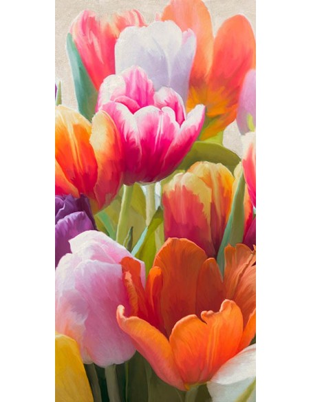 Tulipanes de primavera II