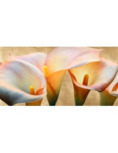 Joya Callas (detalle)