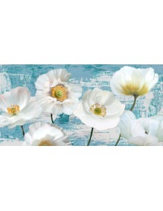 Amapolas lavadas (aguamarina)