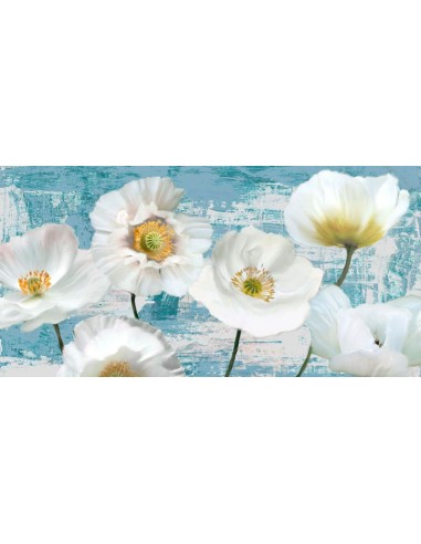 Amapolas lavadas (aguamarina)