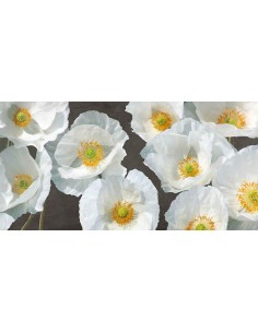 Arreglo de amapolas (pizarra)