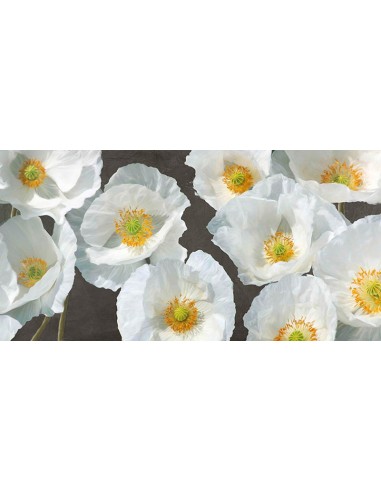 Arreglo de amapolas (pizarra)