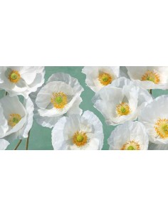 Arreglo de amapolas (menta)