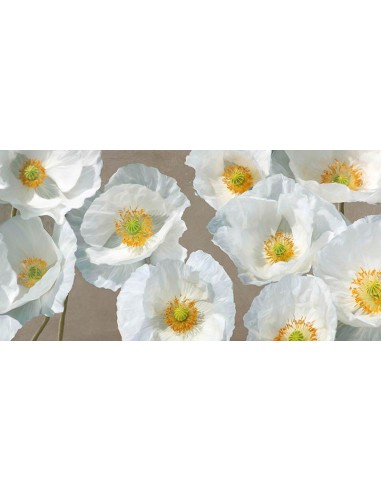 Arreglo de amapolas (topo)