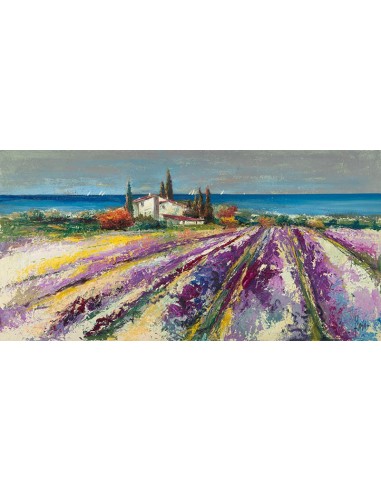 Soñando con la Provenza