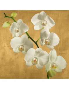 Orquídeas sobre fondo dorado I