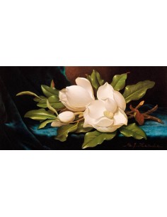 Magnolias gigantes sobre tela azul