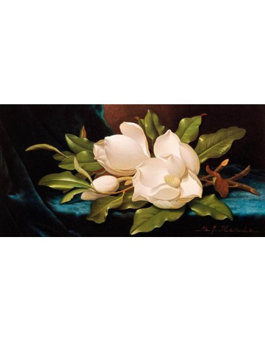 Magnolias gigantes sobre tela azul