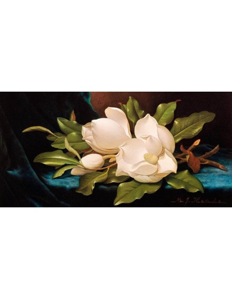 Magnolias gigantes sobre tela azul