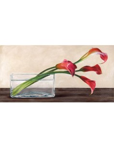 Composición moderna, Callas