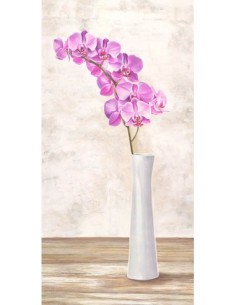 Arreglo de orquídeas