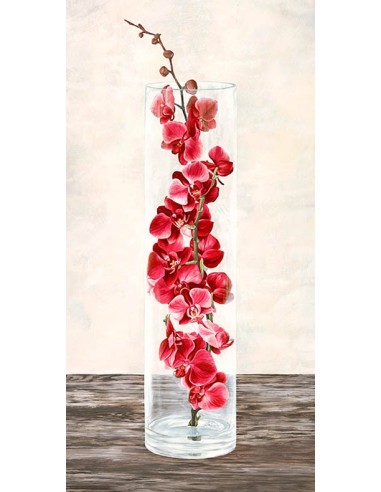 Arreglo de orquídeas