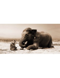 Orando junto al río