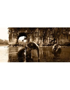 Espíritus de serenidad