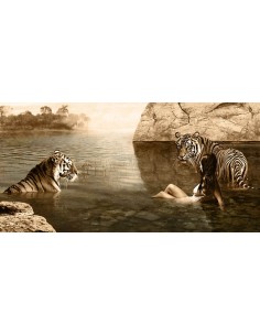 Abrazando la belleza