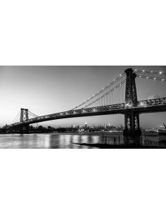 Puente de Queensboro y Manhattan desde Brooklyn, Nueva York